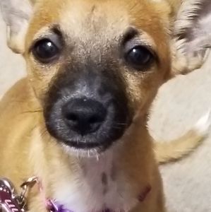 Meet your Posher, Leslie